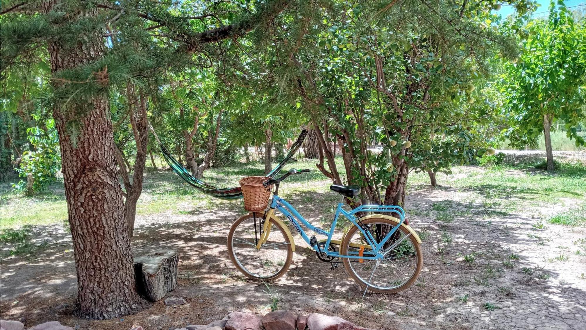 Aire De Barreal Hostel Andino Εξωτερικό φωτογραφία
