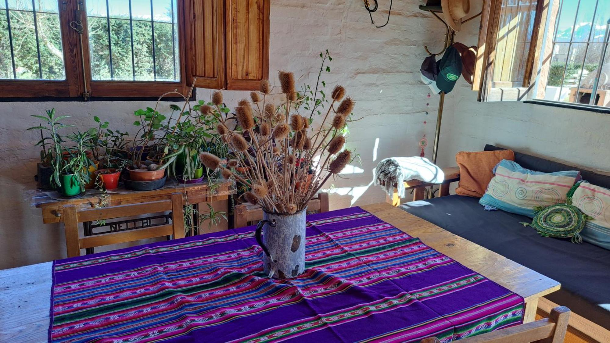 Aire De Barreal Hostel Andino Εξωτερικό φωτογραφία