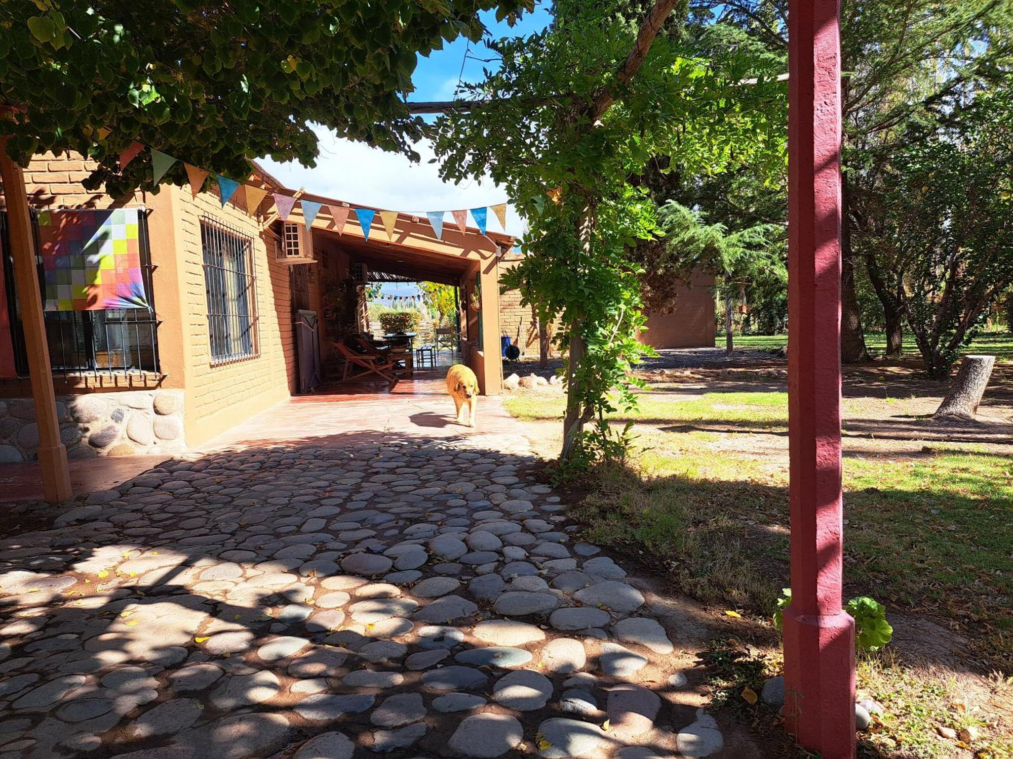 Aire De Barreal Hostel Andino Εξωτερικό φωτογραφία